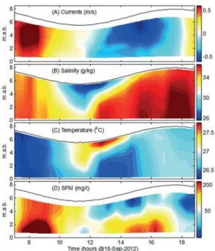 Figure 5. Vertical and temporal ield distributions of (A) current velocity (m/s), (B) salinity (g/kg), (C) temperature (oC) and (D) suspended  particulate matter (SPM, mg/l) in the Capibaribe Estuary on 18 Sept