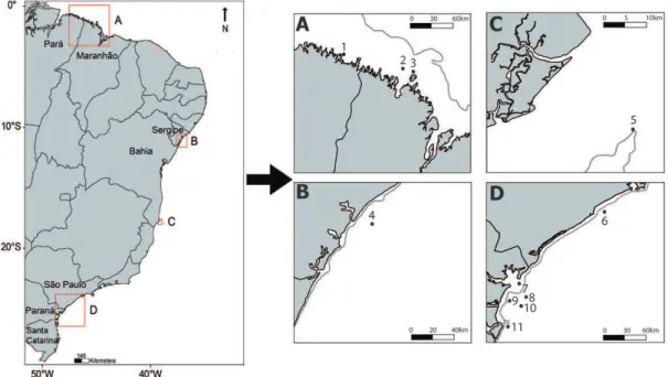 Figure 2. Aggregations of goliath grouper in Brazilian coast: a)  Poaching apprehension in Cururupu at February 2009; b) Parque dos  Meros at February 2009; c) Abrolhos Bank at March 2000; and d)  Monobóia at January 2010