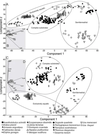 Figure 2. A: Principal Component Analysis (PCA) of brachyuran crab males. B: Biplot regarding the PCA of males