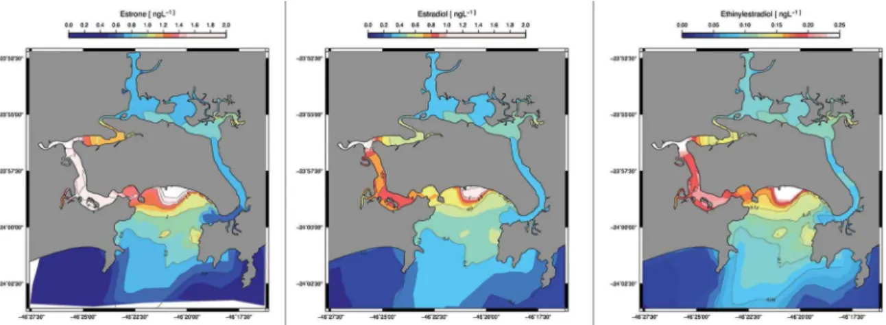 Figure 4. A: Horizontal distribution of natural and synthetic estrogens in the surface waters of the Santos Estuarine System and its bay