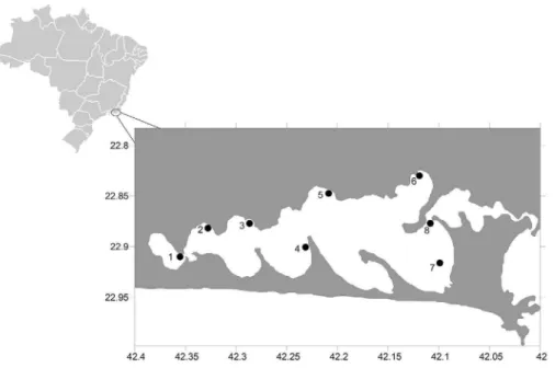 Figure 1. Map of the Rio de Janeiro state coast highlighting the 8 sampling stations in Lagoa de Araruama.
