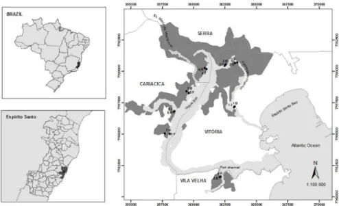 Figure 1. Sampling points (1-8, physiographic types: F: fringe, B: basin) located in the mangrove of Vitória Bay, Espirito Santo