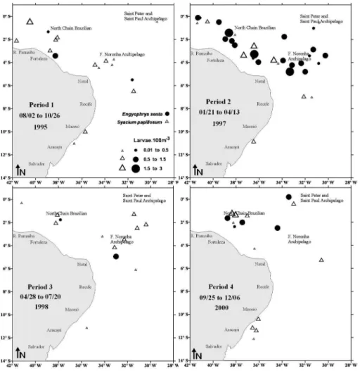 Figure 4. Temporal and spatial distribution of Engyophrys senta and Syacium papillosum larvae in the equatorial Atlantic Ocean.