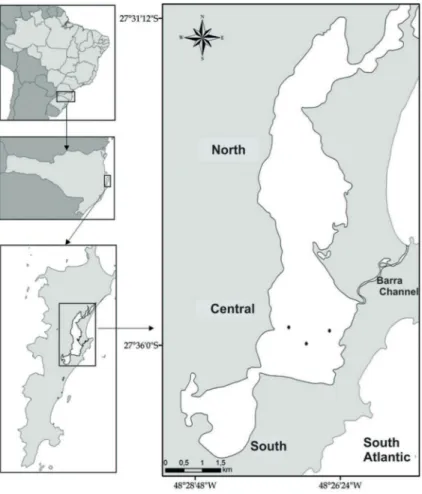 Figure 1. Sampling stations in the central region of Conceição Lagoon (SC), Brazil. Adapted  from Fontes et al., 2009.