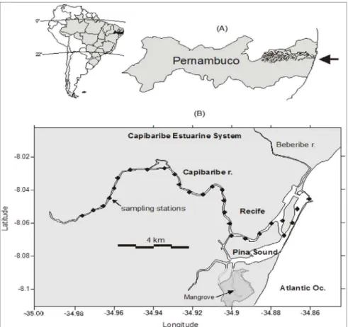 Figure 1. The Capibaribe River estuary, with indication of the sampling stations along the system.