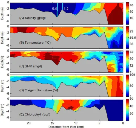 Figure 2. Field distributions of (a) salinity (g/kg), (b) temperature (ºC), (d) suspended particulate matter (SPM, mg/l), (d) dissolved oxygen  saturation (%), and (e) chlorophyll (µg/l) along the Capibaribe Estuary on October 11 th , 2013.