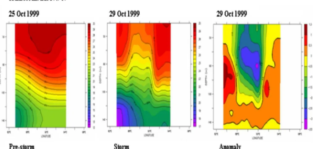 Figure 7. Vertical thermal structure and anomaly along transect III.