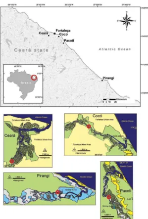Figure 1. Location of the four studied estuaries (•) along the coast  of Ceará State (NE Brazil), with Fortaleza, the capital of Ceará,  indicated(*).
