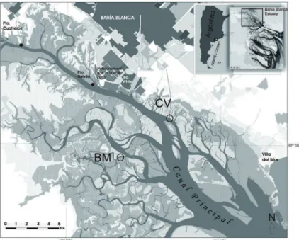 Figure 1. Map of the Bahía Blanca Estuary  showing the sampling sites: Canal Vieja (impacted  site-CV) and Bahía del Medio (non-impacted site-BM)