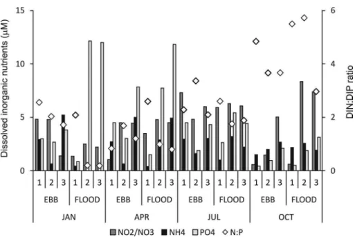 Figure 2.  Dissolved  inorganic  nitrogen  (N-NO 3 /NO 2   and  N-NH 4 )  and  phosphorous  (P-PO 4 )  contents  and  the  DIN:DIP ratio (N:P) at the three sampled stations: #1 (outer), #2 (middle), #3 (inner) during ebb and lood tides  and the four months