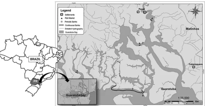 Figure 1. Subtidal natural oyster beds, Guaratuba Bay, Paraná state, Brazil. Points 1 to 10 indicate the banks prospected with SONAR