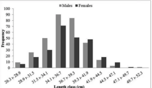 Figure 2. Frequency distribution per total length class (cm) for  M. 