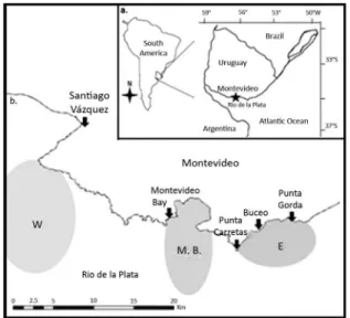 Figure 1. a) Geographical location of Uruguay and Montevideo city  b) Capture site along Montevideo coastal zone