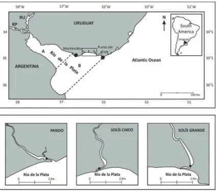 Figure 1. Location of the three sampling sites: Pando, Solís Chico and Solís Grande subestuaries  of  the  Río  de  la  Plata  along  the  Uruguayan  coast  and  ish  sampling  area  in  each  estuary