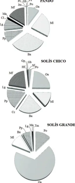 Figure 2. Relative  abundance  of  ish  species  (individuals  1000 m -2 ) based on beach seine in the Pando (P), Solís Chico  (SCh)  and  Solís  Grande  (SG)  subestuaries