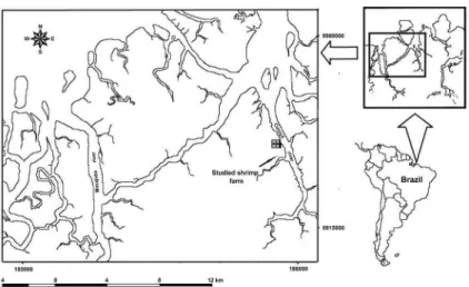 Figure 1. Map of Curuçá estuary (Brazil) indicating the shrimp farm studied.