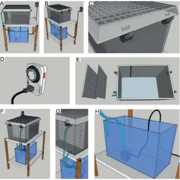 Figure 1. Design of new experimental tank to mangrove crabs. This crab tank was  designed and developed to simulate natural mangrove tides within the lab