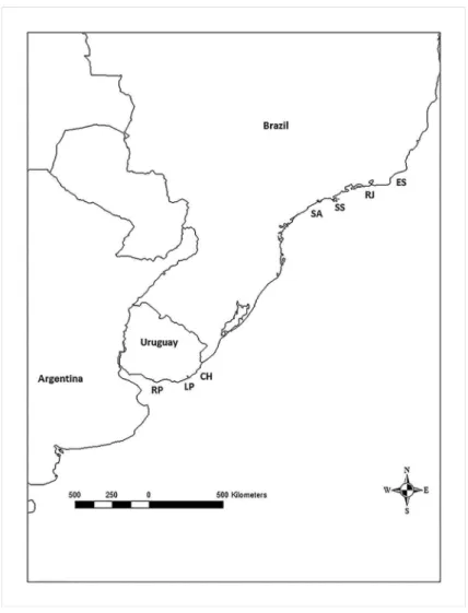 Figure 1.  Sample  localities.  RP,  Río  de  la  Plata;  LP,  La  Paloma;  CH,  Chuy;  SA,  Santos- Santos-Cananéia (Southern São Paulo); SS, São Sebastião (Northern São Paulo); RJ, Rio de Janeiro; 