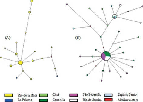 Figure 3. Unrooted haplotype network of the two clades of Menticirrhus americanus. (A): Southern group; (B)  Northern group