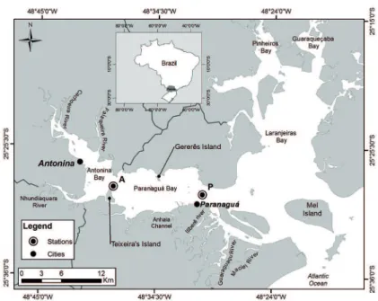 Figure  1.  The  Paranaguá  Estuarine  Complex  (PEC)  and  the  sampled  stations  (Station  P-  Paranaguá and Station A - Antonina).