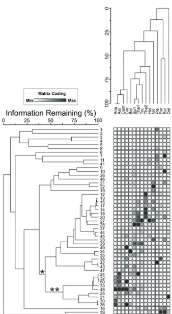 Figure 4.  Dendrogram  derived  from  two-way  cluster  analysis  of  the  phytoplankton data in Cururupe beach