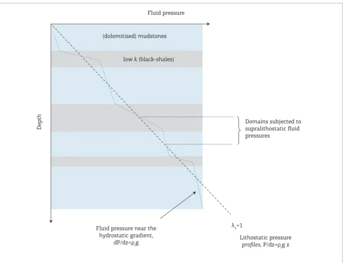 Figure 3. Schematic representation of rock domains subjected to supralithostatic luid pressures in a multilayer  sequence composed of rocks with strong contrasting permeability ( k ); which will be the places where hydraulic  fracturing is largely favoured