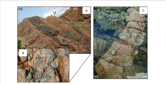 Figure 4. (A) The (Na 2 O + K 2 O) versus SiO 2  diagram of Irvine and Baragar (1971), showing the subalkalinity of the  monzo-syenogranitic bodies of Salvador