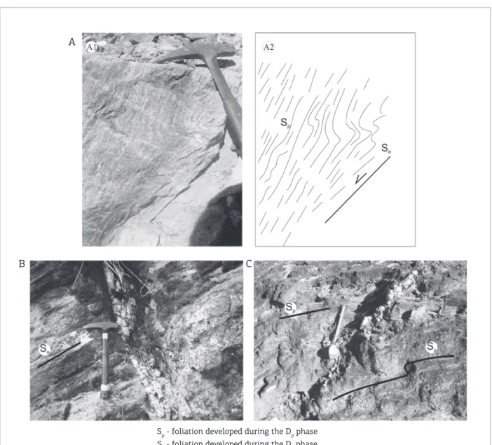 Figure 10. (A) Folds from phase D e  in the rocks of Lagoa Real suite; (B, C) Quartz veins in normal shear zones.