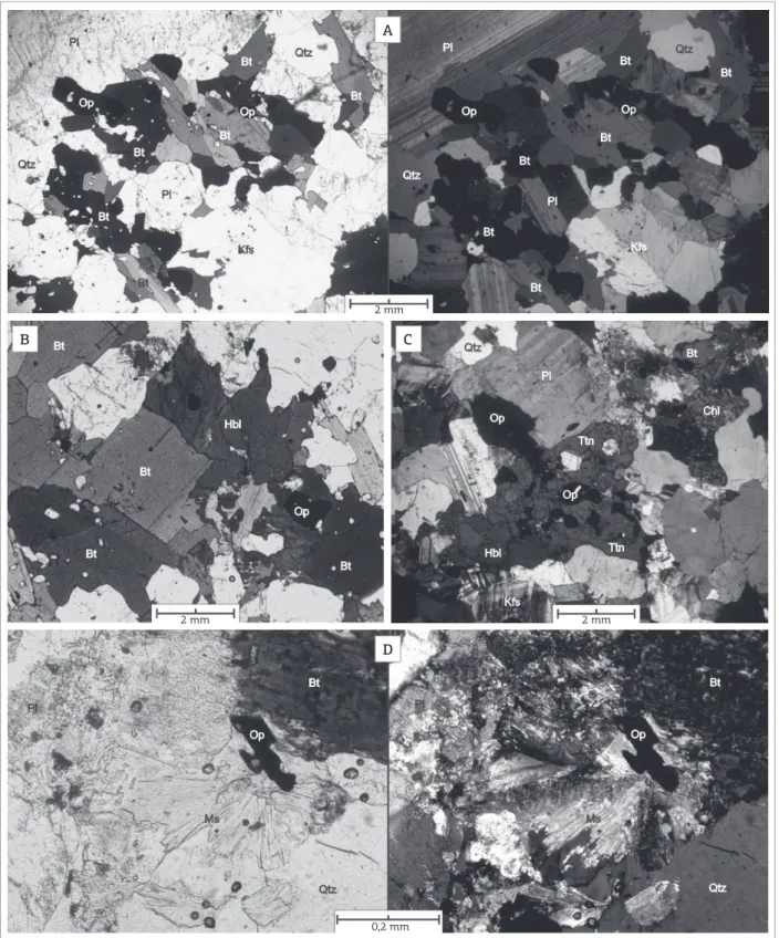 Figure 4. Photomicrographs of rocks from the MG hornblende-biotite tonalite facies showing the following: 