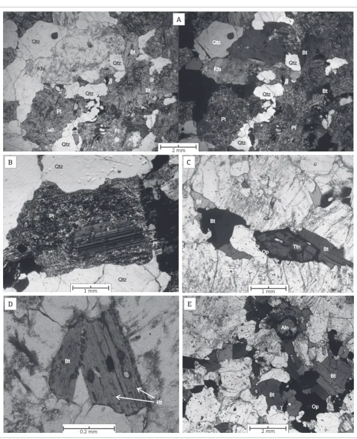 Figure 5. Photomicrographs of the rocks from the MG biotite granodiorite to monzogranite facies showing the  following: (A) xenomorphic texture and sharp distinction between quartz, clear alkali feldspar and intensely  saussuritized plagioclase and blades 