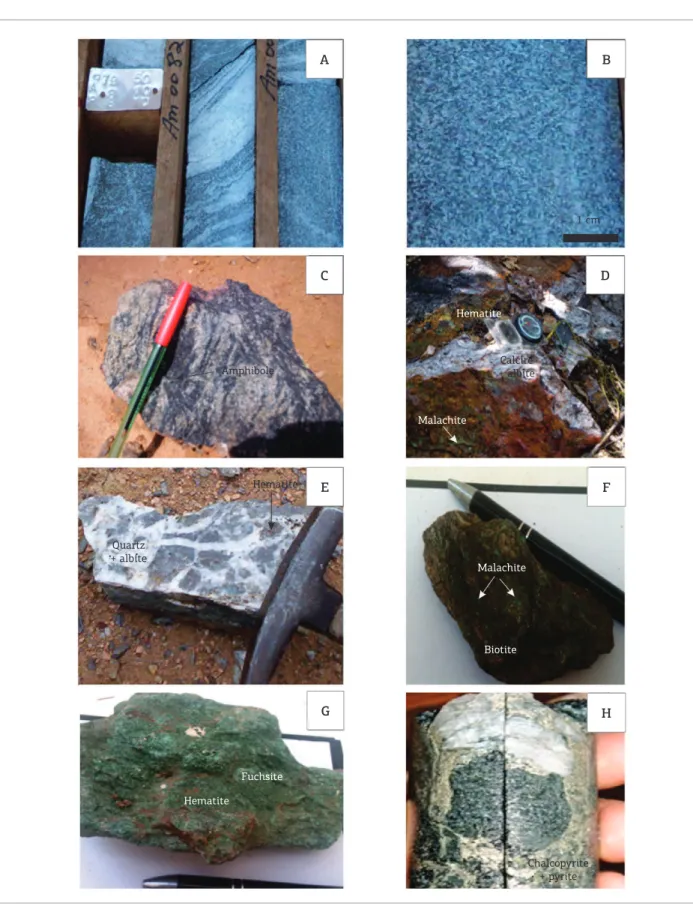 Figure 6. Host rocks and hydrothermal alteration zones of the Riacho do Pontal prospect