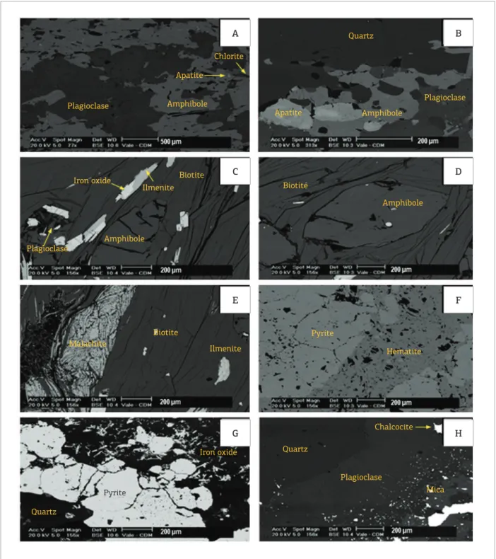 Figure 7. Scanning Electron Microscope images of the hydrothermal alteration zones. (A) zone of sodic-calcic alteration  with  hydrothermal  amphibole  and  plagioclase  (oligoclase)  intermixed  with  chlorite  and  apatite  according  to  the  incipient 