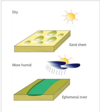 Figure 6. The interbedding between laminated  sandstone and sandy conglomerate facies is  interpreted as due to alternating climate phases,  where laminated sandstone, which represents an  eolian sand sheet with zibars bedforms, formed in dry  phase and sa