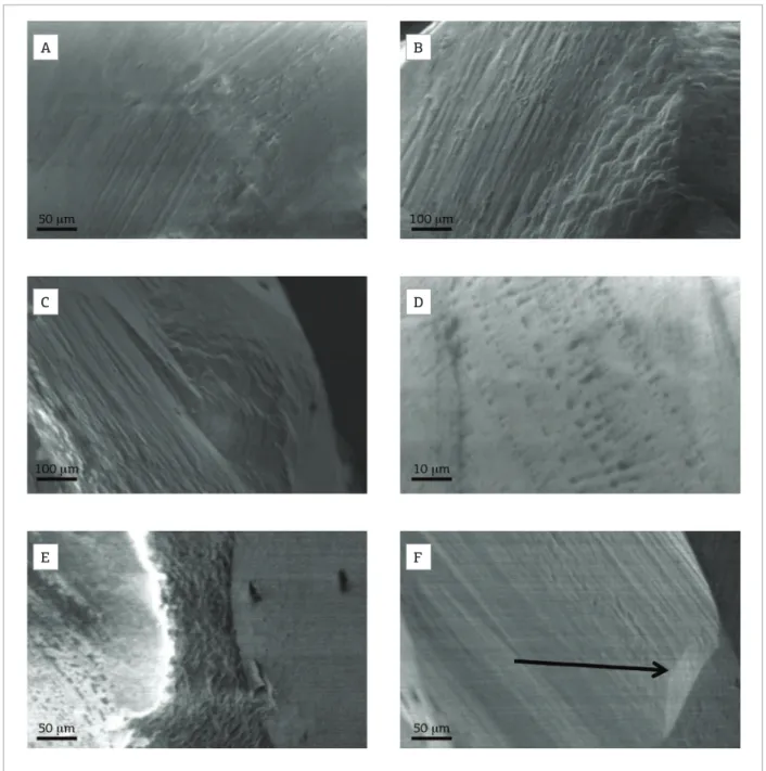 Figure 7. Microprobe analyses images of the diamonds. (A) lamination lines on two adjacent surfaces; (B) elongated  hillocks  of  dif erent  sizes  on  adjacent  tetrahexahedral  surfaces;  (C)  hexagonal  terraces  gradually  turn  into  elongated hillock