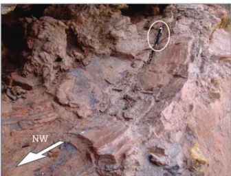 Figure 9. Ferruginized siltstone (fault gouge) highlights  the  NE-SW  normal  fault  plane