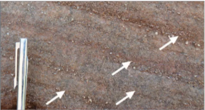 Figure 10. Segregation of coarser grains in the foresets  (arrows)  of  facies  Sts  in  the  melt-out  delta  front  deposits; scale = 10 cm.