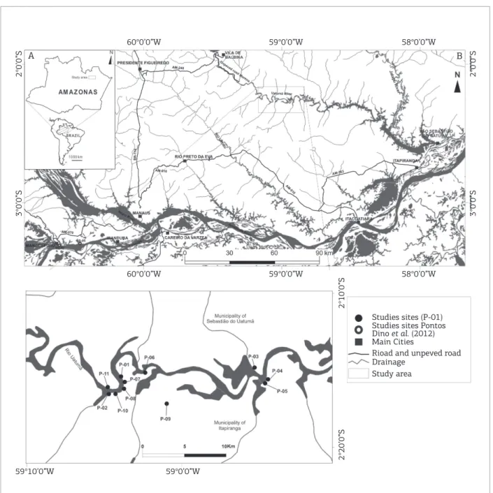 Figure 1. Amazonas State map with the studied area location (detail A). Detail showing the sampled points in the  Rio Uatumã mid to lower stretch (detail B).