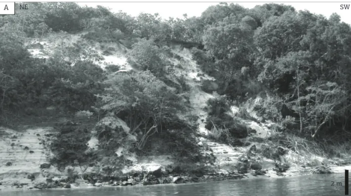 Figure 2. Spodosols developed on Novo Remanso Formation, Rio Uatumã let bank (locality UT-04).