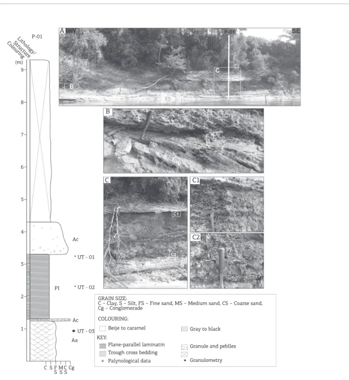 Figure 5. Outcrop panoramic and columnar sections of the Uatumã River let margin (P-01 locality) (detail A)