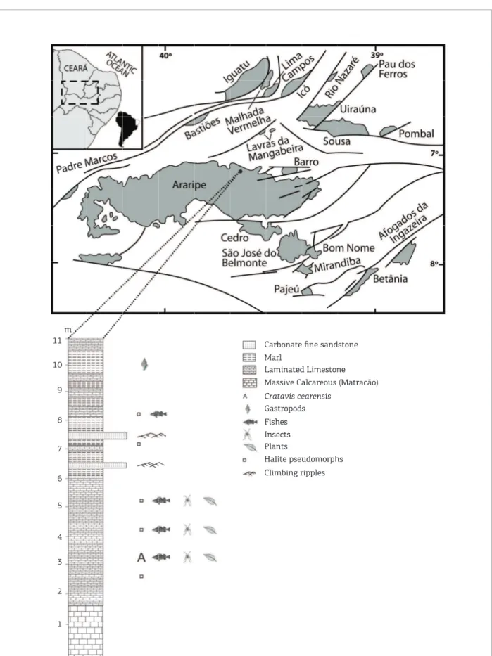 Figure 1. Location map of the Araripe Basin in the context of the Cretaceous Brazilian Northeastern intracratonic  basins  and  stratigraphical  proﬁ le  from  the  location  where  the  fossil  was  collected