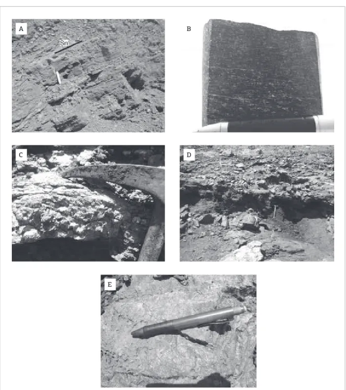 Figure 8. Mapped lithologies in the Lagoa D’anta mine. (A) Itabirite. (B) Metabasalt. (C) Magnetite-spessartite- Magnetite-spessartite-marble