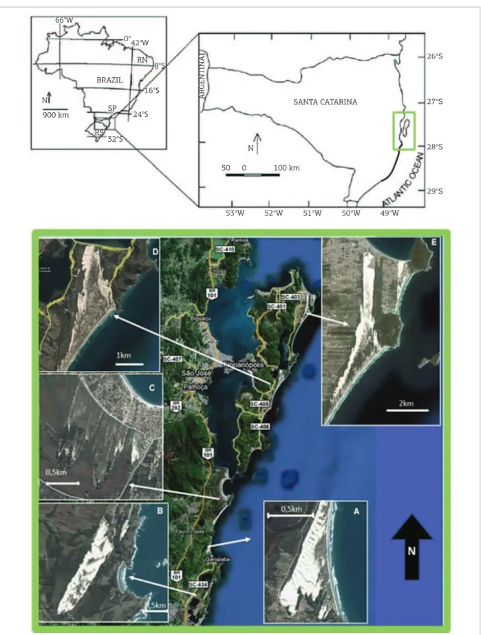 Figure 1. Location of the study area. From south to north, it includes Five beach (duneields) systems (A) Barra- Barra-Ouvidor (Barra-Ouvidor); (B) Siriú – Morro da Antena (Garopaba); (C) Pinheira – Rio da Madre (Pinheira); (D)  Campeche-Conceição (Joaquin