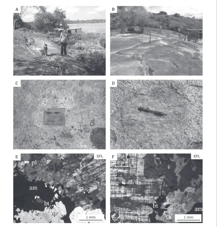 Figure 2. (A) and (B) Outcrop of the Pedra do Gavião syenogranite on the bank of the Negro river; (C) and (D)  inequigranular medium- to coarse-grained texture forming an isotropic fabric in the Pedra do Gavião syenogranite  with amphibolite and gneisses x