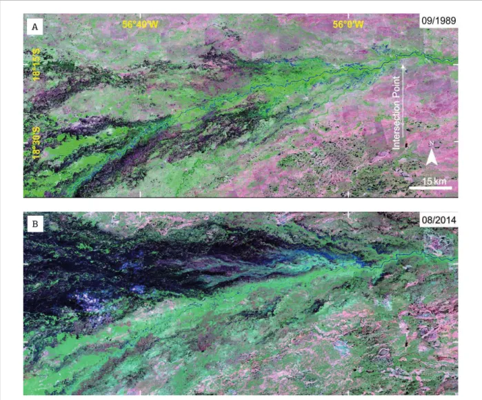 Figure 7. An important avulsion is in progress in the Taquari River at the Caronal farm