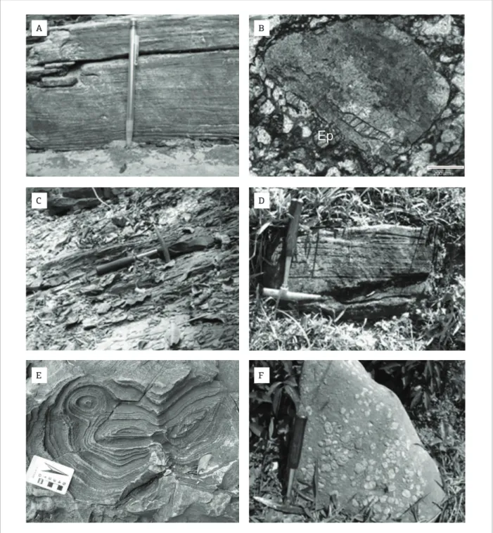 Figure 4. Field and microscopic aspects of rocks of the Piriá Formation. (A) Arkose of the Ap lithofacies with  plane-parallel lamination