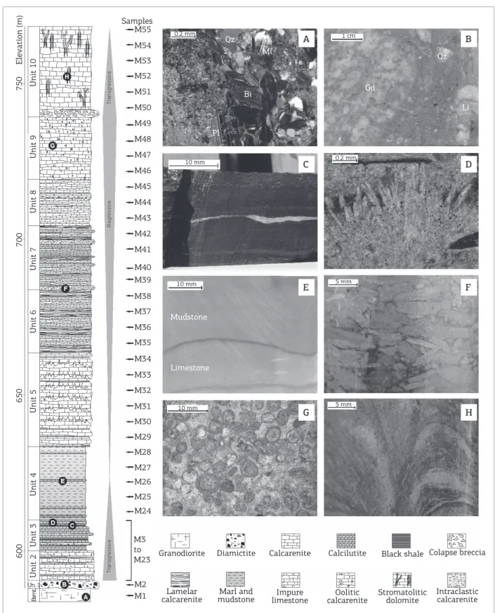 Figure 2. Stratigraphic section of the basal Bambuí Group at Arcos, southwestern São Francisco Basin, Brazil
