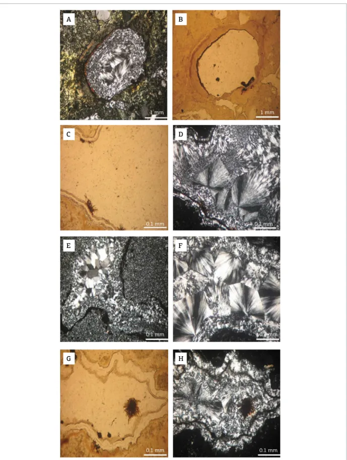 Figure 11. Possible grain (sand size) of rounded quartz replaced by cryptocrystalline quartz (chalcedony) surrounded  by Fe oxyhydroxides in contact with cryptocrystalline matrix also chalcedony