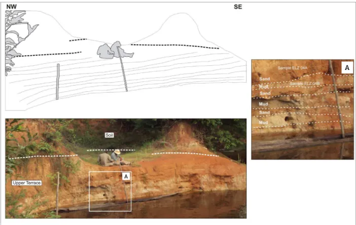 Figure 4. Upper terrace outcrop covered by a thick clay soil layer in let margin of BR-319 road, near  Careiro-Castanho  city