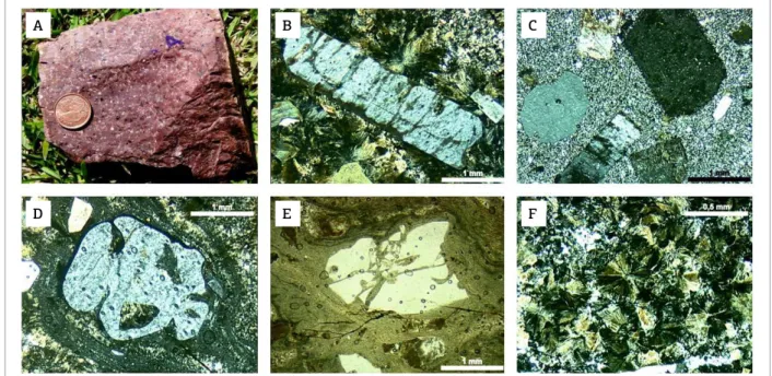 Figure 3. Summary of macro and microscopic features of representative efusive rocks at the Tupanci and Picados  Hill  (cf