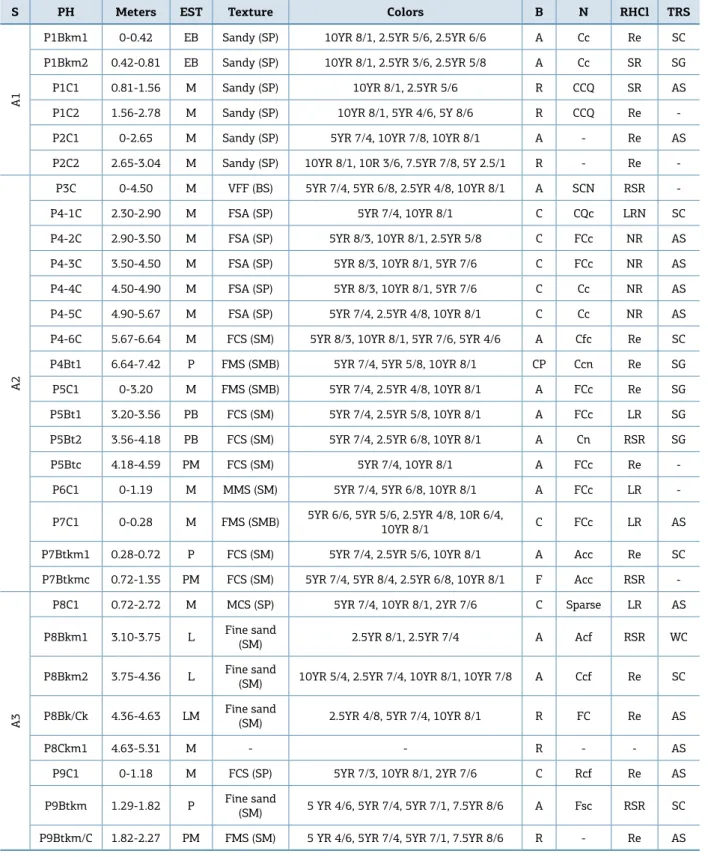 Table 1. Summary of morphological characteristics of paleosols in the A1, A2 and A3 sections.
